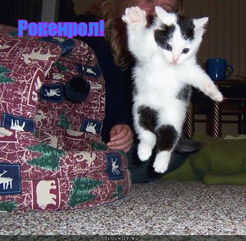 рокенрол!