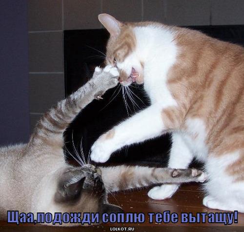 соплю вытащу!
