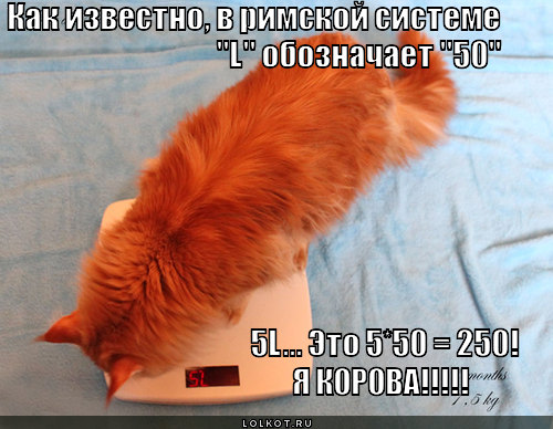 я корова!