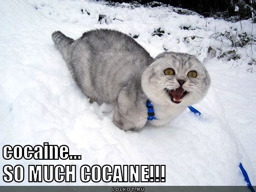 so much cocaine!