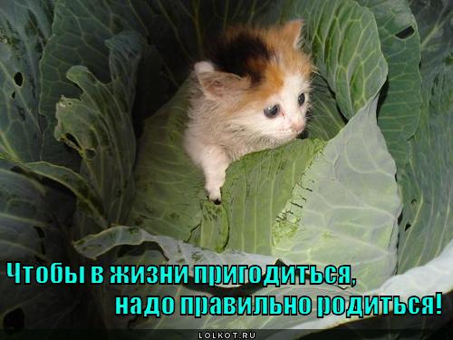 надо правильно родиться