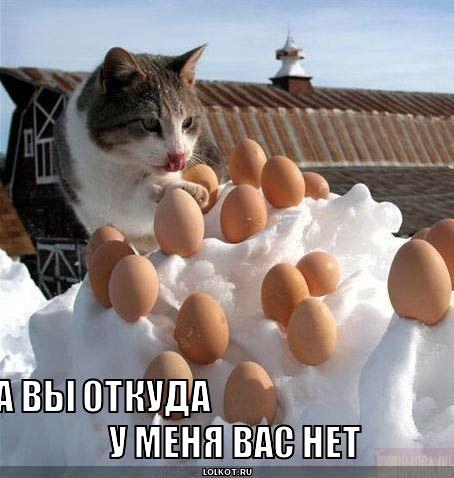 а вы откуда