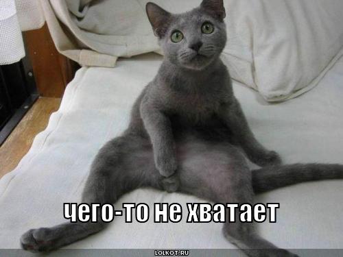 чего-то не хватает