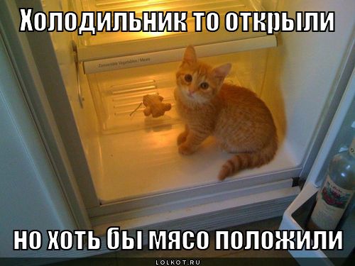 холодильник то открыли