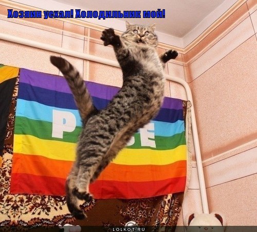 хозяин уехал! холодильник мой!! хозяин уехал! холодильник мой!