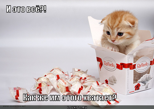 и это всё?! 