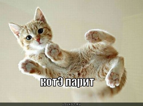 котэ парит