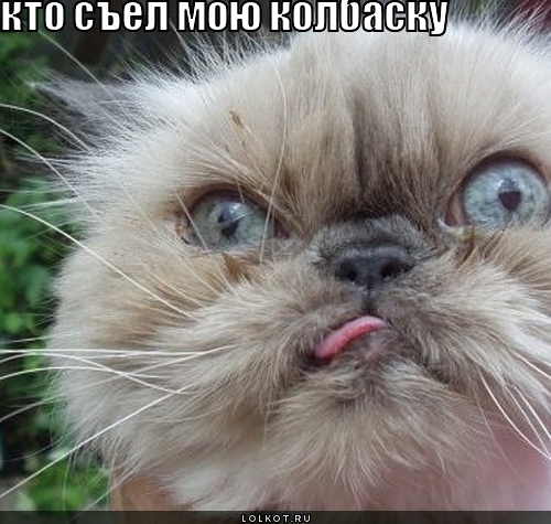 кто съел мою колбаску