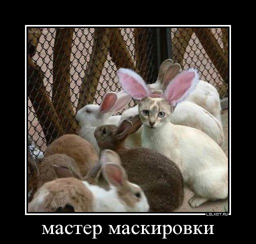 мастер маскировки