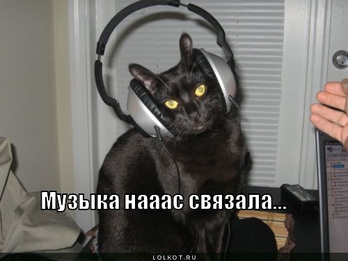 музыка нааас связала...