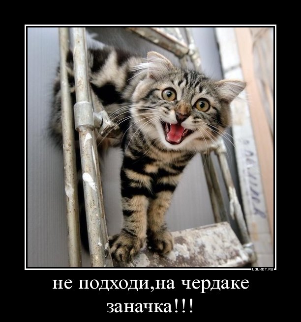 на чердаке заначка