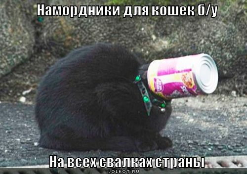 намордники для кошек