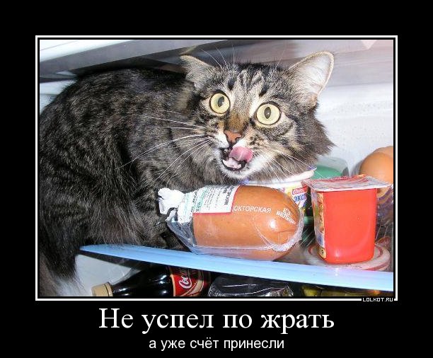 не успел по жрать а уже счёт принесли