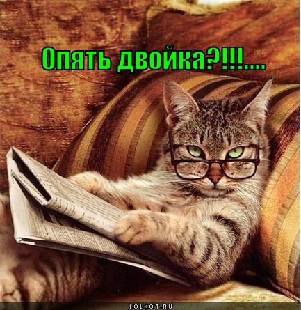 опять двойка?!!!...