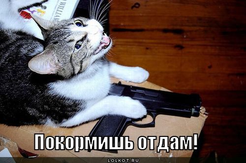 покормишь отдам!