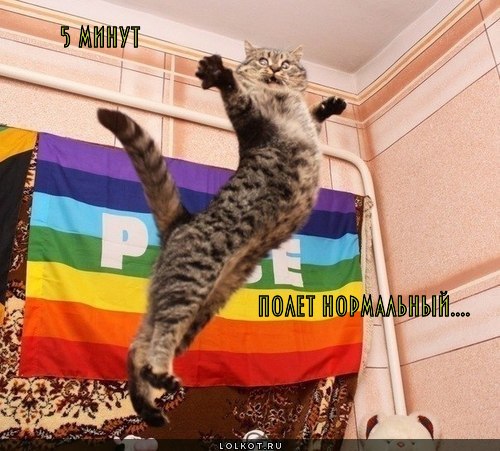  полет нормальный...