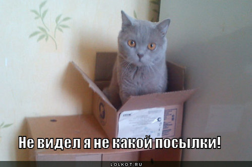 посылка