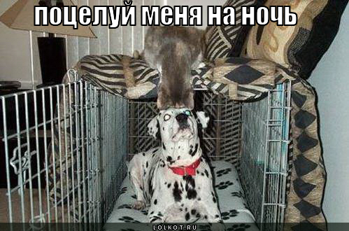 поцелуй 