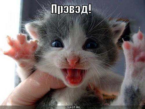 прэвэд!