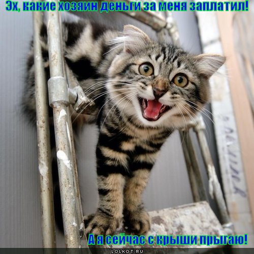 с крыши прыгаю