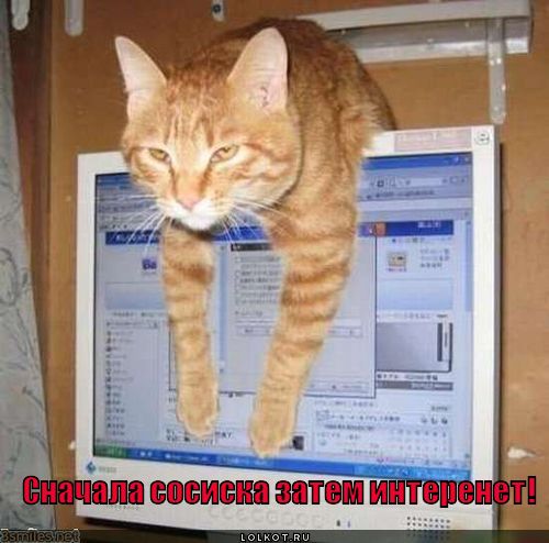 сначала сосиска затем интеренет!