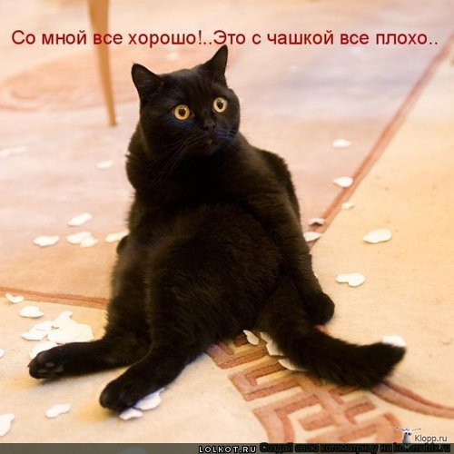 со мною все хорошо!