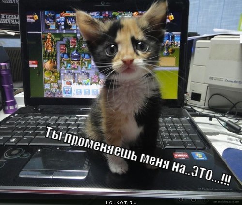 ты променяешь