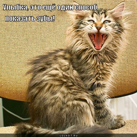 улыбка