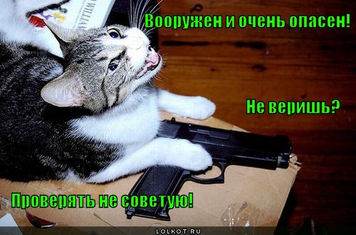 вооружен и очень опасен! 