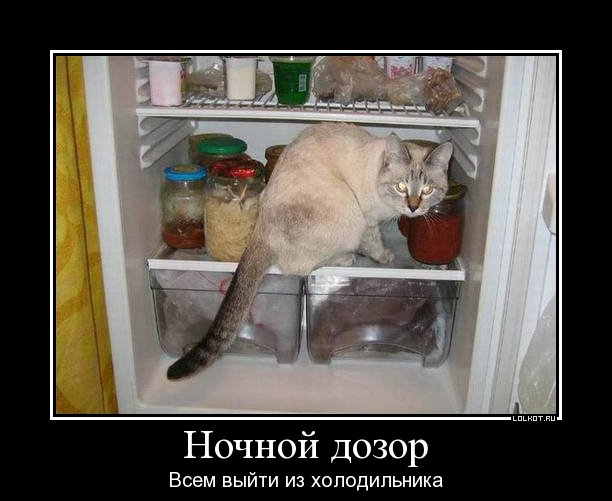 всем выйти из холодильника