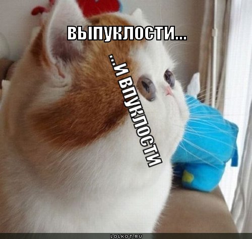 выпуклости... ...и впуклости