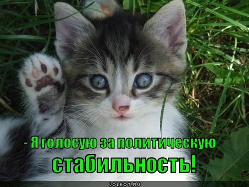 - я голосую за политическую стабильность!