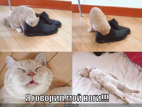 я говорил