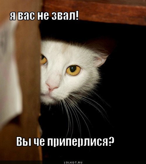 я вас не звал!