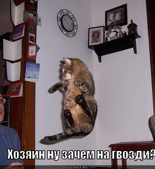зачем на гвозди?