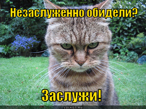  заслужи!