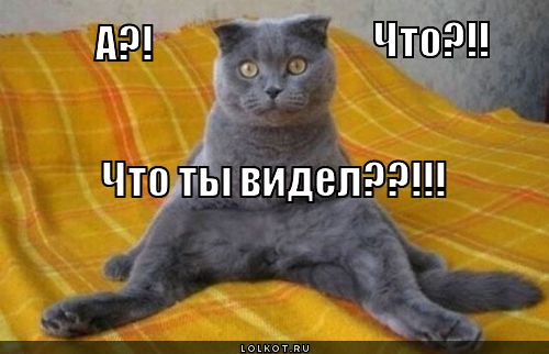 а?! что?!!