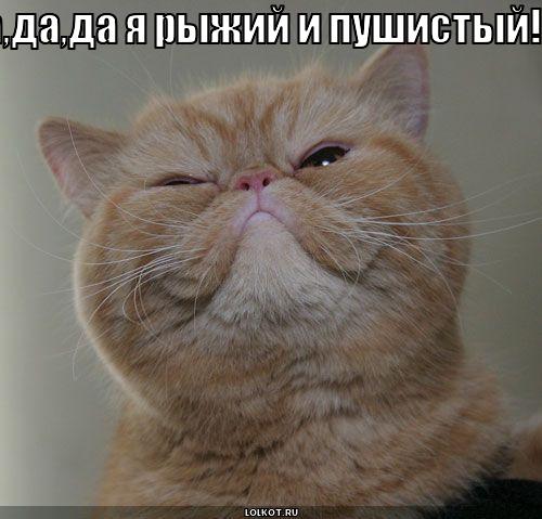 да, да, да