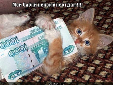 мои бабки 