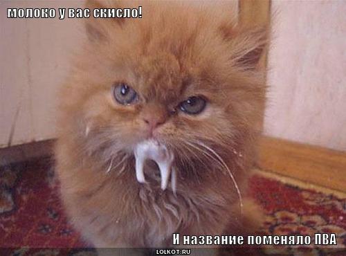 молоко  скисло
