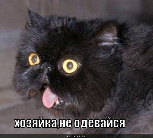 не одевайся