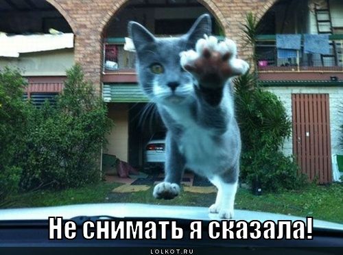 не снимать