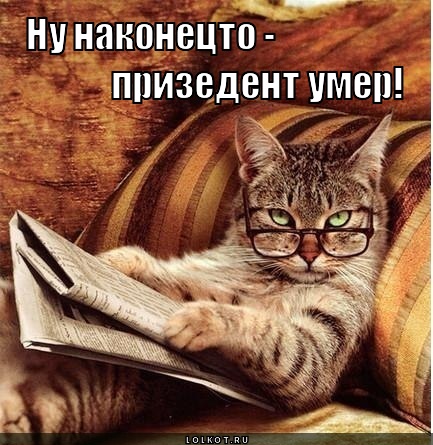 ну наконецто