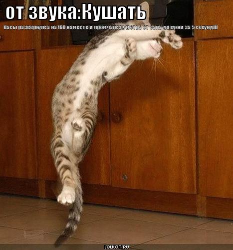 от звука