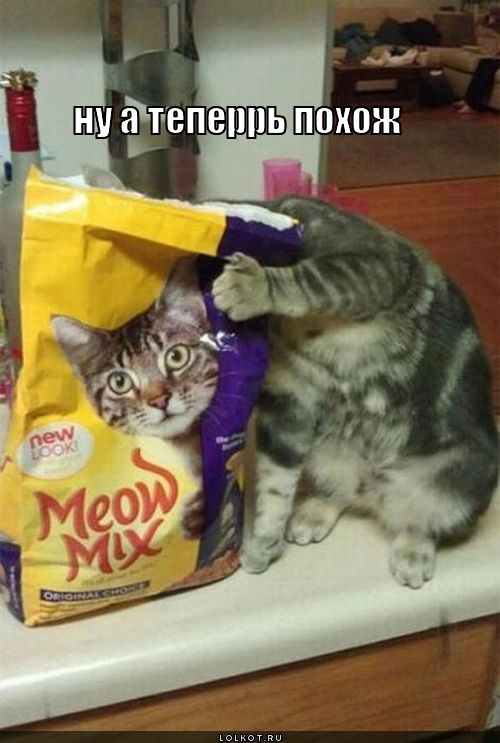 похож