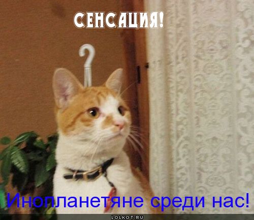 сенсация