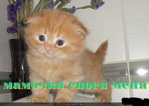 споси и сОхрони