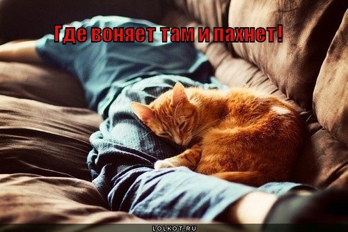 там и пахнет