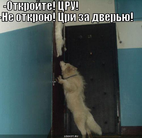 цри за дверью
