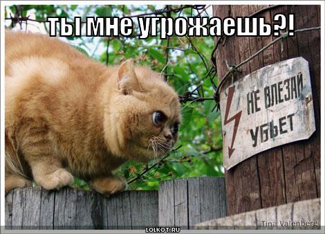 ты мне угрожаешь